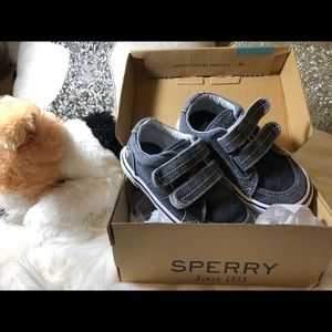 ⚽️ Sperry-Navy Canvas Baby Boy Sneakers Sz 6